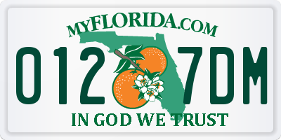 FL license plate 0127DM