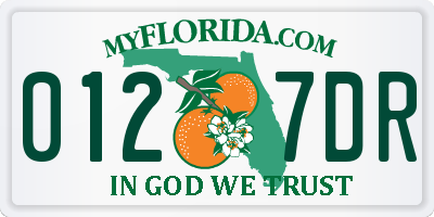 FL license plate 0127DR