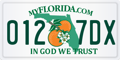 FL license plate 0127DX