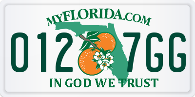 FL license plate 0127GG