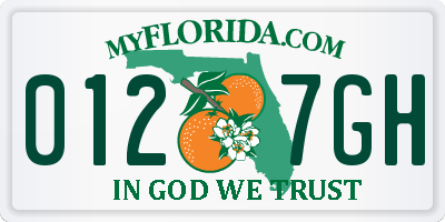 FL license plate 0127GH