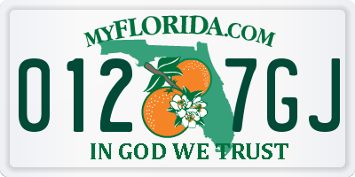 FL license plate 0127GJ