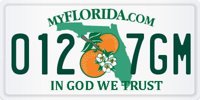 FL license plate 0127GM