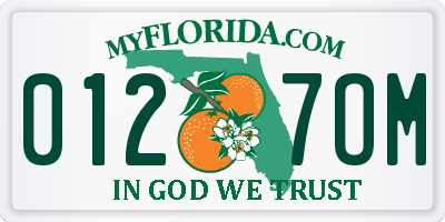 FL license plate 0127OM