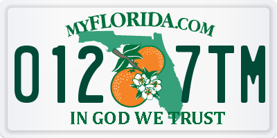 FL license plate 0127TM