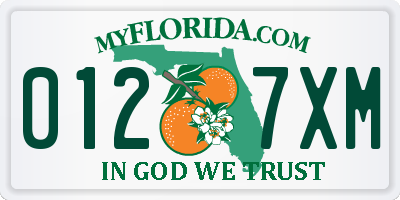 FL license plate 0127XM