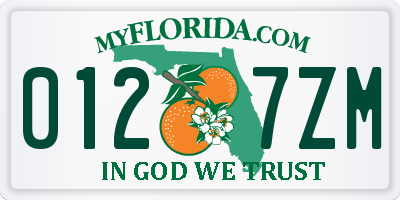 FL license plate 0127ZM