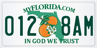 FL license plate 0128AM