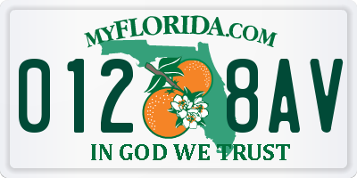 FL license plate 0128AV
