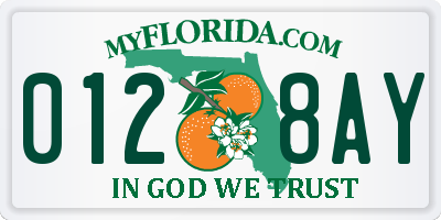 FL license plate 0128AY