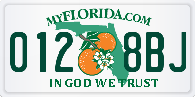 FL license plate 0128BJ