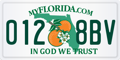FL license plate 0128BV