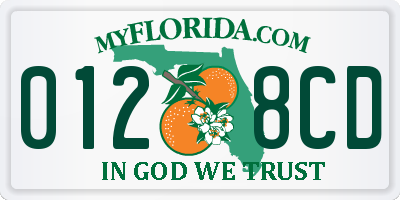 FL license plate 0128CD