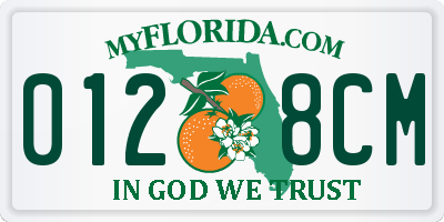 FL license plate 0128CM