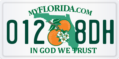 FL license plate 0128DH