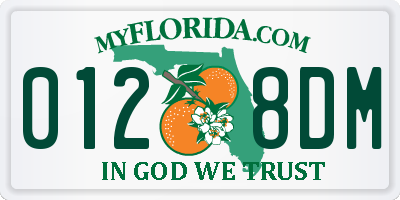 FL license plate 0128DM