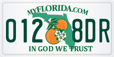 FL license plate 0128DR