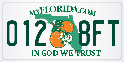 FL license plate 0128FT