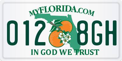 FL license plate 0128GH