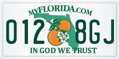 FL license plate 0128GJ