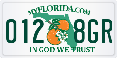 FL license plate 0128GR