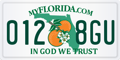 FL license plate 0128GU