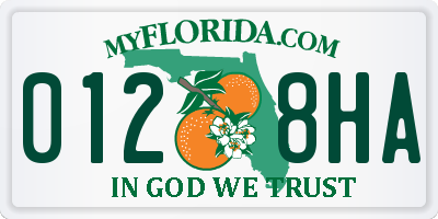 FL license plate 0128HA