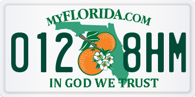 FL license plate 0128HM