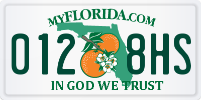 FL license plate 0128HS