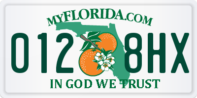 FL license plate 0128HX