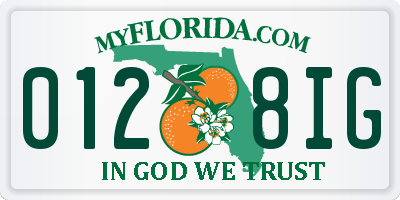 FL license plate 0128IG