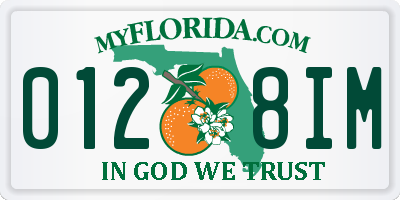 FL license plate 0128IM