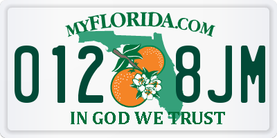 FL license plate 0128JM