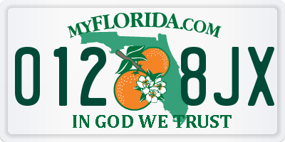 FL license plate 0128JX