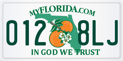 FL license plate 0128LJ