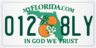 FL license plate 0128LY