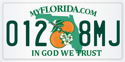FL license plate 0128MJ
