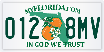 FL license plate 0128MV