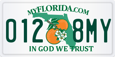 FL license plate 0128MY
