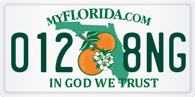 FL license plate 0128NG