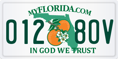 FL license plate 0128OV