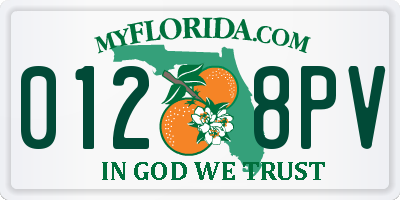 FL license plate 0128PV