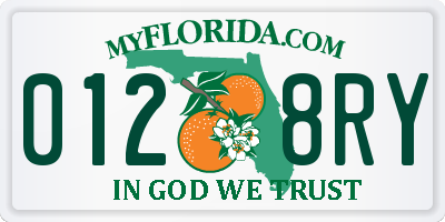 FL license plate 0128RY