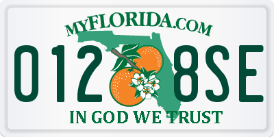 FL license plate 0128SE