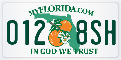 FL license plate 0128SH