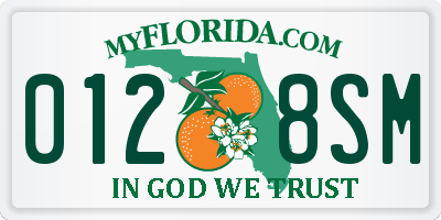 FL license plate 0128SM