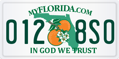 FL license plate 0128SO