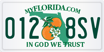 FL license plate 0128SV