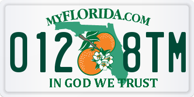 FL license plate 0128TM
