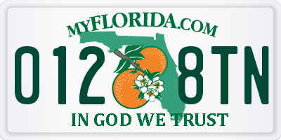 FL license plate 0128TN